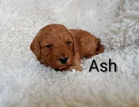 processed/485c83ab-ff14-449a-9b86-d3b3ae57cfd0/listing/e54a2913-6550-409f-bc76-413362f115f9/0f1f382b-5830-447c-90f9-6c6f478886b6