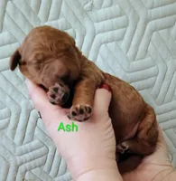 processed/485c83ab-ff14-449a-9b86-d3b3ae57cfd0/listing/e54a2913-6550-409f-bc76-413362f115f9/b83482ed-5014-4ed3-8774-be3925df7707