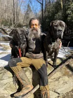 Female number 1, a female Spanish Mastiff for sale in Tryon, NC – Photo 2 of 5