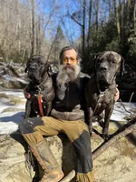 Female Puppy 2 , a female Spanish Mastiff for sale in Tryon, NC – Photo 3 of 4