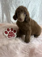 processed/485f40b4-bd06-4fed-b751-9154817c3901/listing/7fb71f62-9e29-4a24-9cc0-948993607328/5e206059-040a-4cb9-a52e-d0a183fdbef5