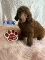 processed/485f40b4-bd06-4fed-b751-9154817c3901/listing/7fb71f62-9e29-4a24-9cc0-948993607328/d5ef2659-594c-4d00-b312-81997e11761d