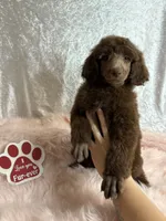 processed/485f40b4-bd06-4fed-b751-9154817c3901/listing/d69f650c-7931-4557-9c48-912634870305/27310f75-78c1-422b-b554-2bd84b8b67fa