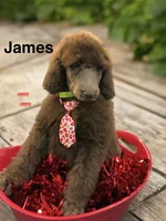 processed/485f40b4-bd06-4fed-b751-9154817c3901/listing/d69f650c-7931-4557-9c48-912634870305/470aaadf-c763-4537-9f2b-19522bd59cfc