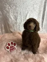 processed/485f40b4-bd06-4fed-b751-9154817c3901/listing/d69f650c-7931-4557-9c48-912634870305/556e1c3f-d66c-4dbd-a78e-656defd9c8cd