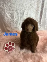 processed/485f40b4-bd06-4fed-b751-9154817c3901/listing/d69f650c-7931-4557-9c48-912634870305/78a3c7ba-b39a-4a9b-a710-53aa0b225760