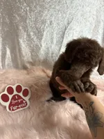 processed/485f40b4-bd06-4fed-b751-9154817c3901/listing/d69f650c-7931-4557-9c48-912634870305/e249faf3-1e06-459c-aeac-4acde0a62e49