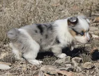 processed/48642a75-7768-456d-92b7-dd70b06d247b/listing/1966fdcf-50cf-4c09-8a1e-41220e58beb8/0bc2682a-3441-4af1-b250-9af1e85a7881