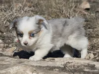 processed/48642a75-7768-456d-92b7-dd70b06d247b/listing/1966fdcf-50cf-4c09-8a1e-41220e58beb8/2937a6a6-d50e-4c01-99d4-3f0daaa6e1ac