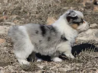 processed/48642a75-7768-456d-92b7-dd70b06d247b/listing/1966fdcf-50cf-4c09-8a1e-41220e58beb8/4425a4c3-259f-4e04-adb4-6ddf3d38fada