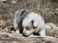 processed/48642a75-7768-456d-92b7-dd70b06d247b/listing/1966fdcf-50cf-4c09-8a1e-41220e58beb8/68cfda5f-232b-4a9f-88f2-2184c11341ab