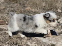 processed/48642a75-7768-456d-92b7-dd70b06d247b/listing/1966fdcf-50cf-4c09-8a1e-41220e58beb8/a036a9a0-2414-41aa-a823-490f7f66bdbb