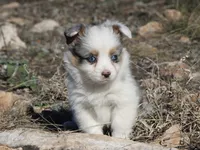 processed/48642a75-7768-456d-92b7-dd70b06d247b/listing/1966fdcf-50cf-4c09-8a1e-41220e58beb8/a49019b4-7835-4e76-8d54-a608b8bda5df