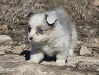 processed/48642a75-7768-456d-92b7-dd70b06d247b/listing/1966fdcf-50cf-4c09-8a1e-41220e58beb8/f0827228-0427-4b7b-ab64-947175abe766