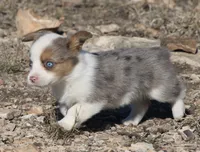 processed/48642a75-7768-456d-92b7-dd70b06d247b/listing/5ee098ce-f367-433e-97c1-1ffbf4d1964a/09705a4e-bede-4fd7-aacd-c3aef74edffc