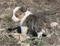 processed/48642a75-7768-456d-92b7-dd70b06d247b/listing/5ee098ce-f367-433e-97c1-1ffbf4d1964a/6b4cf283-3cbc-4df8-83ae-b7116b136251