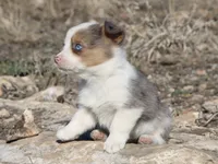 processed/48642a75-7768-456d-92b7-dd70b06d247b/listing/5ee098ce-f367-433e-97c1-1ffbf4d1964a/9d6a46e8-4ce9-461e-9607-c9a3aa5020cb