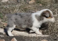 processed/48642a75-7768-456d-92b7-dd70b06d247b/listing/5ee098ce-f367-433e-97c1-1ffbf4d1964a/a231ae77-f0fe-46ab-8e68-fc0709f57e89