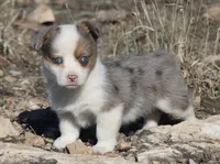 processed/48642a75-7768-456d-92b7-dd70b06d247b/listing/5ee098ce-f367-433e-97c1-1ffbf4d1964a/a849afa7-b636-4005-bbb4-696ec82eb0d7