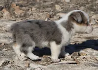 processed/48642a75-7768-456d-92b7-dd70b06d247b/listing/5ee098ce-f367-433e-97c1-1ffbf4d1964a/b8318c1f-738a-4075-8385-b250d566cf72