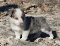 processed/48642a75-7768-456d-92b7-dd70b06d247b/listing/5ee098ce-f367-433e-97c1-1ffbf4d1964a/f6f423dc-7d98-4877-93b3-a2eacdd641a1