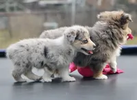 processed/48642a75-7768-456d-92b7-dd70b06d247b/listing/98161e18-35db-4bc6-ac71-906722329b98/1bd2e635-6d74-46b2-8b5c-8c8989d806f8