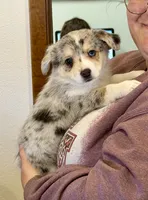 processed/48642a75-7768-456d-92b7-dd70b06d247b/listing/98161e18-35db-4bc6-ac71-906722329b98/77da19f2-6bc3-484d-b0fe-740790d59485