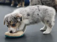 processed/48642a75-7768-456d-92b7-dd70b06d247b/listing/98161e18-35db-4bc6-ac71-906722329b98/851d0857-fda6-4238-b54f-e4f11309bb37