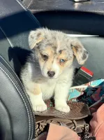 processed/48642a75-7768-456d-92b7-dd70b06d247b/listing/98161e18-35db-4bc6-ac71-906722329b98/bc5434fa-b03c-4bdf-9bd2-3d2e3fdfc771