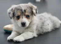 processed/48642a75-7768-456d-92b7-dd70b06d247b/listing/98161e18-35db-4bc6-ac71-906722329b98/c7bb8211-d839-4f11-b4a9-58592c9a35f6