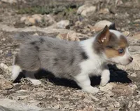 processed/48642a75-7768-456d-92b7-dd70b06d247b/listing/b730d0e1-2417-4467-bb7d-2929ac703d32/247b3d0a-4725-483d-b307-fedac1c60db4