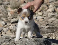 processed/48642a75-7768-456d-92b7-dd70b06d247b/listing/b730d0e1-2417-4467-bb7d-2929ac703d32/68006dd1-520d-4dc7-832d-6fba4720d64f