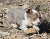 processed/48642a75-7768-456d-92b7-dd70b06d247b/listing/b730d0e1-2417-4467-bb7d-2929ac703d32/ba0302f9-25fa-4bf0-ba73-0af7a10b01ce