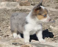 processed/48642a75-7768-456d-92b7-dd70b06d247b/listing/b730d0e1-2417-4467-bb7d-2929ac703d32/d6cf8b9d-5e1a-40d8-b13a-a4721a963a17