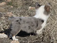 processed/48642a75-7768-456d-92b7-dd70b06d247b/listing/b730d0e1-2417-4467-bb7d-2929ac703d32/eb915019-d034-4e4e-83c2-1e95a1d01568