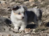 processed/48642a75-7768-456d-92b7-dd70b06d247b/listing/de8910ea-146b-4d95-9b45-f8894605ab98/236c8497-cedd-4f75-991c-d44784936641