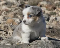 processed/48642a75-7768-456d-92b7-dd70b06d247b/listing/de8910ea-146b-4d95-9b45-f8894605ab98/42bad43b-5a51-4444-8688-dca74ecfc5fd