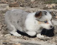 processed/48642a75-7768-456d-92b7-dd70b06d247b/listing/de8910ea-146b-4d95-9b45-f8894605ab98/6b4bf821-6bfe-4032-b53d-1a0f86637b9d