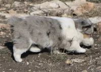 processed/48642a75-7768-456d-92b7-dd70b06d247b/listing/de8910ea-146b-4d95-9b45-f8894605ab98/ada6a7d0-7b2a-461a-a1e6-38fd2f7398fa