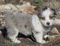 processed/48642a75-7768-456d-92b7-dd70b06d247b/listing/de8910ea-146b-4d95-9b45-f8894605ab98/bc95df76-71e7-4b06-bce6-17997ea143d0