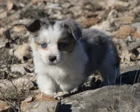 processed/48642a75-7768-456d-92b7-dd70b06d247b/listing/de8910ea-146b-4d95-9b45-f8894605ab98/d9b7c73c-756e-4be1-aef4-1cf13a9ea7f0