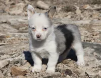 processed/48642a75-7768-456d-92b7-dd70b06d247b/listing/f8705790-a6fb-4a08-bf81-74bb942a95a9/1b799322-5964-466d-93f1-f8633d83cd2b