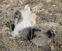 processed/48642a75-7768-456d-92b7-dd70b06d247b/listing/f8705790-a6fb-4a08-bf81-74bb942a95a9/2bd892f5-56a9-4f81-82ca-b7e3b9ab9296