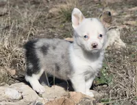 processed/48642a75-7768-456d-92b7-dd70b06d247b/listing/f8705790-a6fb-4a08-bf81-74bb942a95a9/bee63e95-7c72-47f8-af8d-b9de01600e16