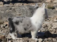 processed/48642a75-7768-456d-92b7-dd70b06d247b/listing/f8705790-a6fb-4a08-bf81-74bb942a95a9/cb44a3df-e2c5-4c1e-a61a-fd730b70eb91