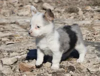 processed/48642a75-7768-456d-92b7-dd70b06d247b/listing/f8705790-a6fb-4a08-bf81-74bb942a95a9/cf6c6a15-f05b-4a68-a94d-f48829da657b