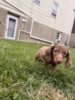 processed/4864793e-30ae-4210-9619-aa03deb9cadb/listing/15ac7518-57f4-49e2-a193-86563b7de82e/2b934470-55e2-48b2-b491-6365d55b710a