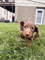 processed/4864793e-30ae-4210-9619-aa03deb9cadb/listing/15ac7518-57f4-49e2-a193-86563b7de82e/3cdcc892-840c-486f-b8a5-a9ee71ff41b4