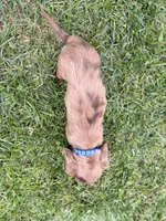 processed/4864793e-30ae-4210-9619-aa03deb9cadb/listing/15ac7518-57f4-49e2-a193-86563b7de82e/70411f79-5d93-4e49-b966-69f938f1a4cc