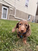 processed/4864793e-30ae-4210-9619-aa03deb9cadb/listing/15ac7518-57f4-49e2-a193-86563b7de82e/99abc3a9-4912-4944-befc-c46a3121d58c